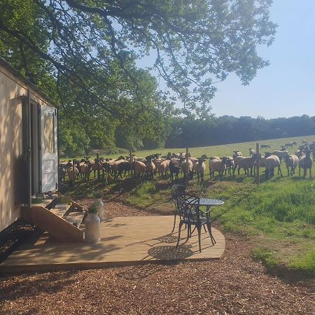 Coachroad Shepherds Huts Petworth Exterior photo