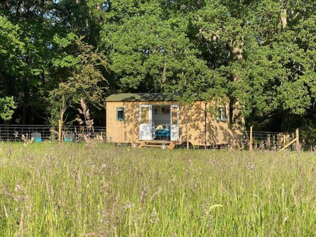 Coachroad Shepherds Huts Petworth Exterior photo