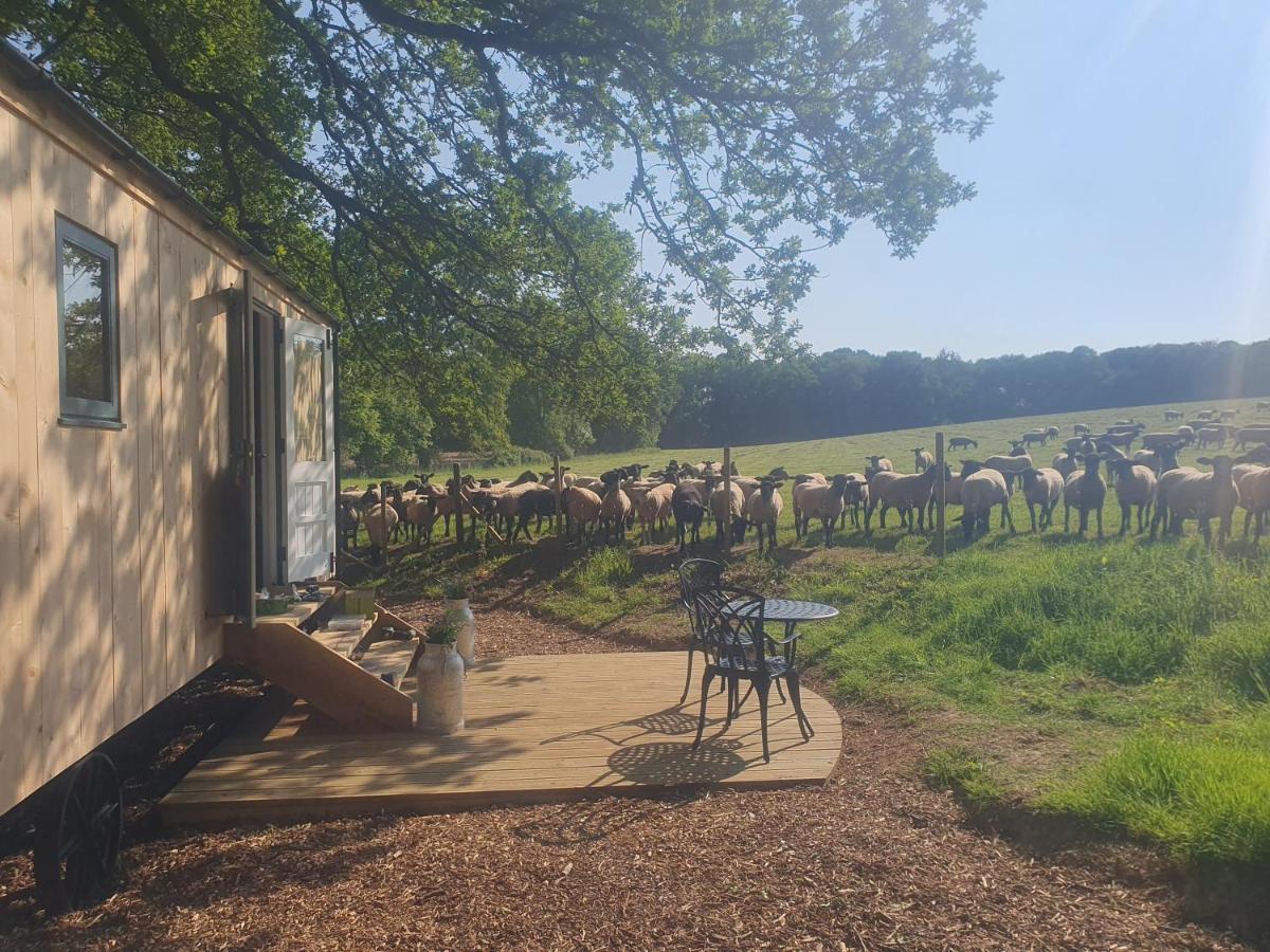 Coachroad Shepherds Huts Petworth Exterior photo